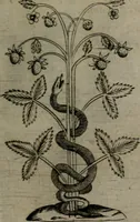 Picture 44 of 172 from Devises heroiques, et emblemes (1614), leaf 96