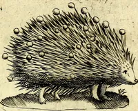 An illustration from Devises heroiques, et emblemes (1614)