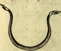 An illustration from Devises heroiques, et emblemes (1614)