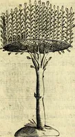 An illustration from Devises heroiques, et emblemes (1614)