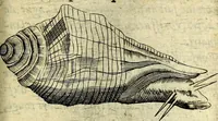 An illustration from Devises heroiques, et emblemes (1614)
