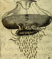 Picture 123 of 172 from Devises heroiques, et emblemes (1614), leaf 237