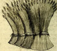 An illustration from Devises heroiques, et emblemes (1614)
