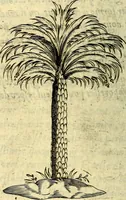An illustration from Devises heroiques, et emblemes (1614)