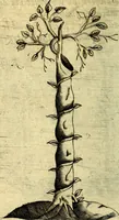 An illustration from Devises heroiques, et emblemes (1614)