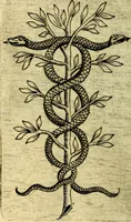An illustration from Devises heroiques, et emblemes (1614)