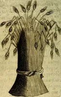 An illustration from Devises heroiques, et emblemes (1614)