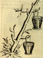 An illustration from Devises heroiques, et emblemes (1614)