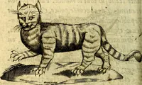 An illustration from Devises heroiques, et emblemes (1614)
