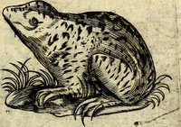 An illustration from Devises heroiques, et emblemes (1614)