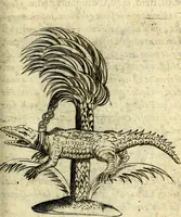 An illustration from Devises heroiques, et emblemes (1614)