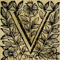 An illustration from Devises heroiqves et morales (1649)