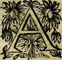 An illustration from Devises heroiqves et morales (1649)