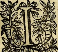 An illustration from Devises heroiqves et morales (1649)