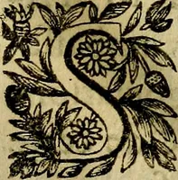 Picture 32 of 101 from Devises heroiqves et morales (1649), leaf 36