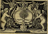 An illustration from Devises heroiqves et morales (1649)