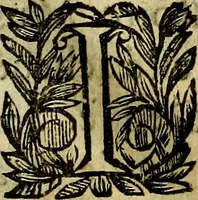 An illustration from Devises heroiqves et morales (1649)