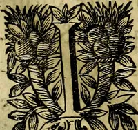 Picture 41 of 101 from Devises heroiqves et morales (1649), leaf 46