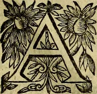 An illustration from Devises heroiqves et morales (1649)
