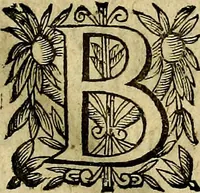 An illustration from Devises heroiqves et morales (1649)