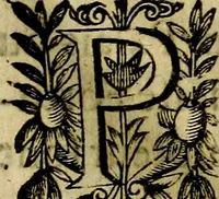 An illustration from Devises heroiqves et morales (1649)
