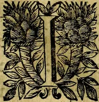 An illustration from Devises heroiqves et morales (1649)