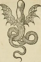 An illustration from Devises heroïqves (1557)