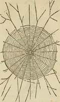 An illustration from Devises heroïqves (1557)