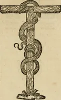 An illustration from Devises heroïqves (1557)