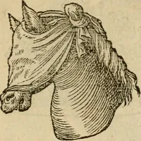 An illustration from Devises heroïqves (1557)