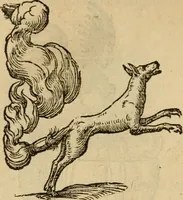 An illustration from Devises heroïqves (1557)