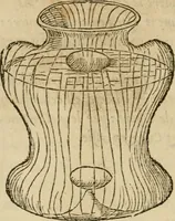 An illustration from Devises heroïqves (1557)