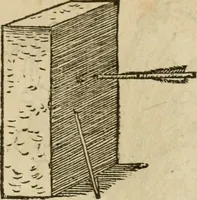 An illustration from Devises heroïqves (1557)
