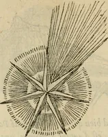 An illustration from Devises heroïqves (1557)