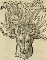 An illustration from Devises heroïqves (1557)