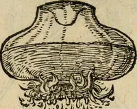 An illustration from Devises heroïqves (1557)