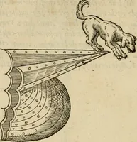 An illustration from Devises heroïqves (1557)