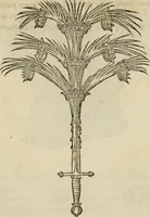 An illustration from Devises heroïqves (1557)