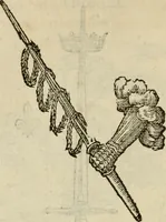An illustration from Devises heroïqves (1557)