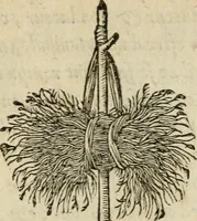 An illustration from Devises heroïqves (1557)