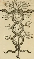 An illustration from Devises heroïqves (1557)