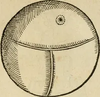 An illustration from Devises heroïqves (1557)