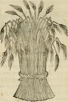 An illustration from Devises heroïqves (1557)
