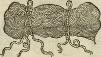 An illustration from Devises heroïqves (1557)