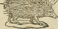 An illustration from Devises heroïqves (1557)