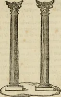 An illustration from Devises heroïqves (1557)