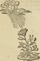 An illustration from Devises heroïqves (1557)