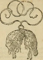 An illustration from Devises heroïqves (1557)