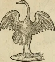 An illustration from Devises heroïqves (1557)