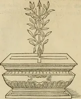 An illustration from Devises heroïqves (1557)